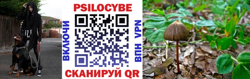 Псилоцибиновые грибы Cubensis  Армавир 